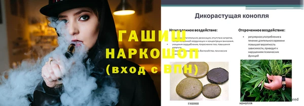 МДПВ Бородино