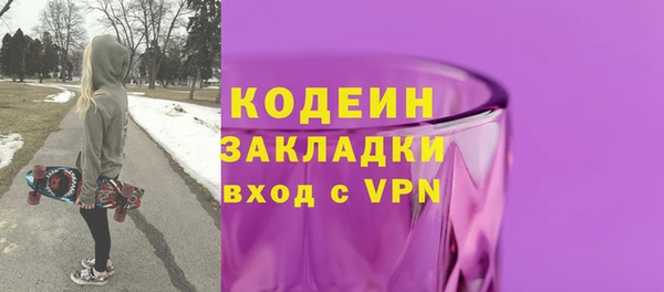 МДПВ Бородино