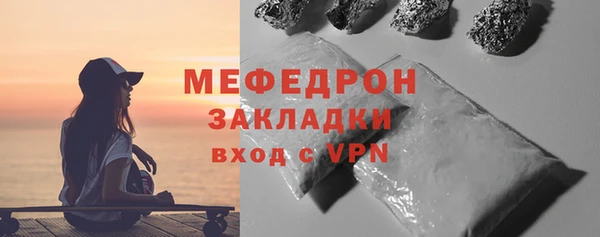 сатива Каменка
