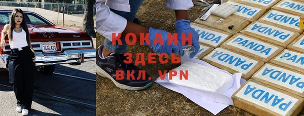 дживик Бронницы