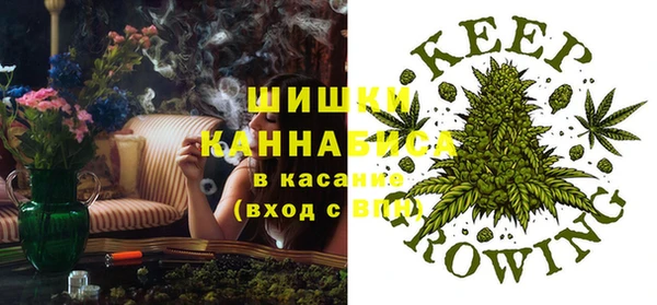 дживик Бронницы