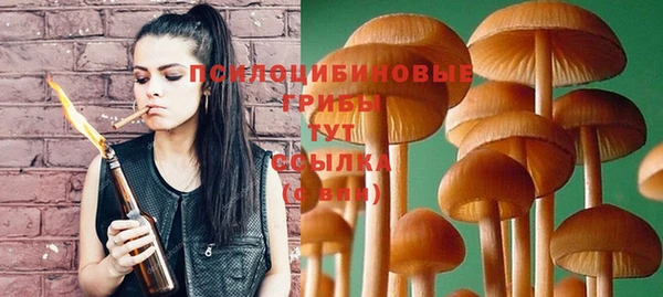 дживик Бронницы