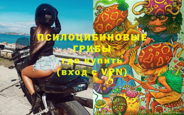 МДПВ Бородино