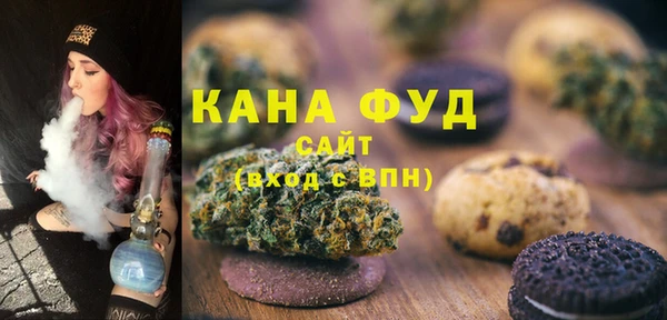 дживик Бронницы