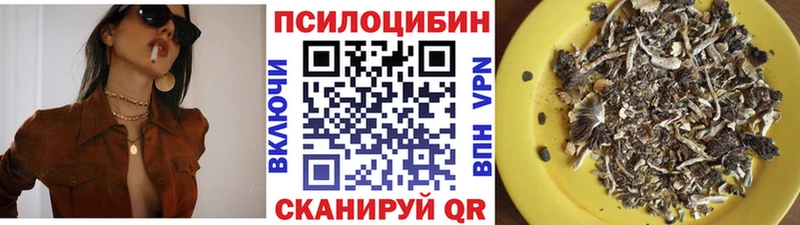 купить наркотики цена  Сосногорск  Галлюциногенные грибы Psilocybe 